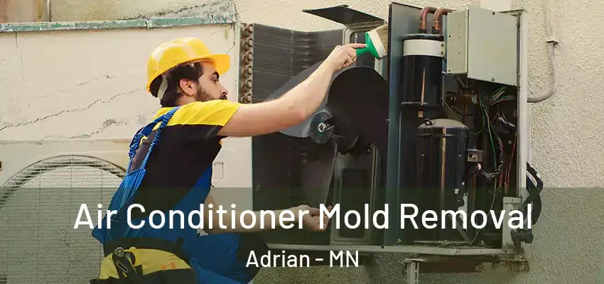 Air Conditioner Mold Removal Adrian - MN