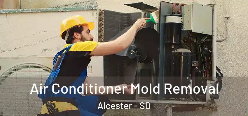  Air Conditioner Mold Removal Alcester - SD
