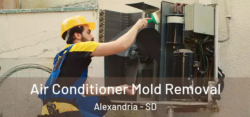Air Conditioner Mold Removal Alexandria - SD