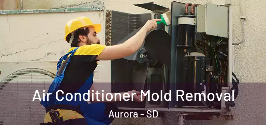  Air Conditioner Mold Removal Aurora - SD