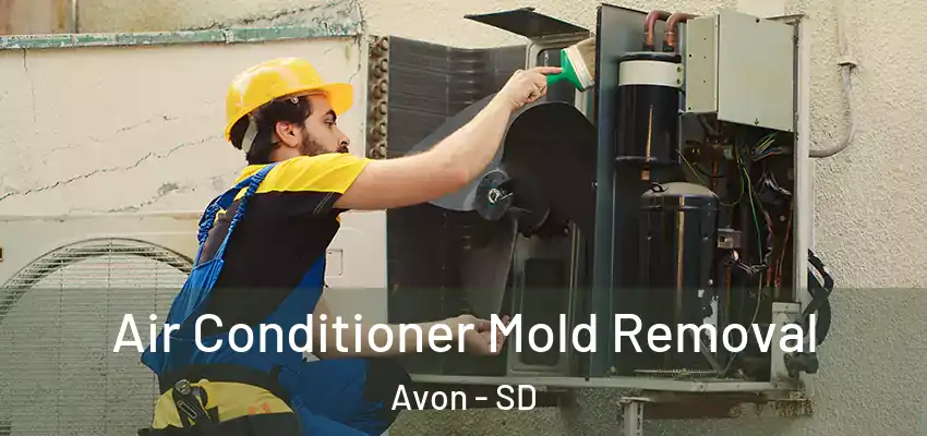  Air Conditioner Mold Removal Avon - SD