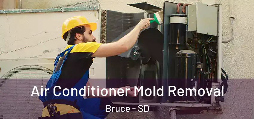 Air Conditioner Mold Removal Bruce - SD