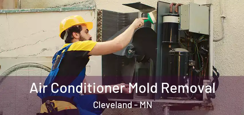  Air Conditioner Mold Removal Cleveland - MN