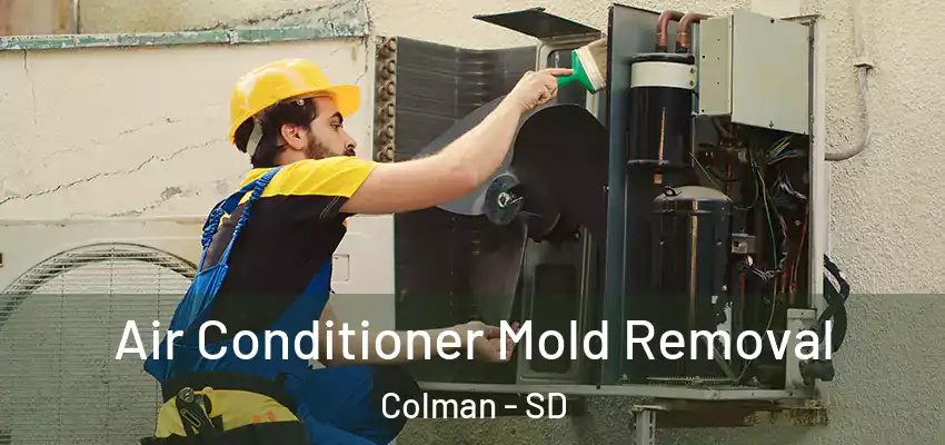  Air Conditioner Mold Removal Colman - SD