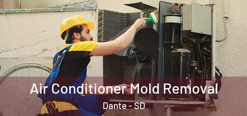  Air Conditioner Mold Removal Dante - SD