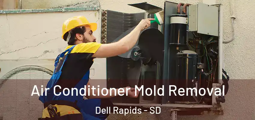 Air Conditioner Mold Removal Dell Rapids - SD