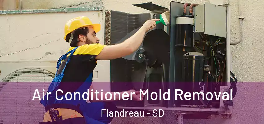  Air Conditioner Mold Removal Flandreau - SD