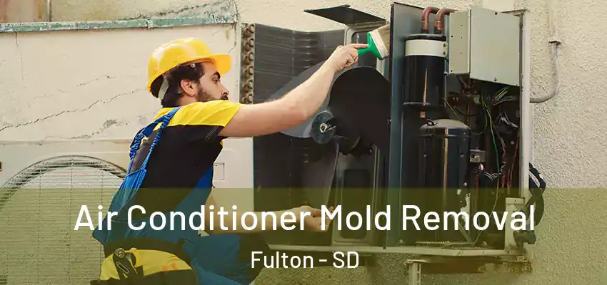  Air Conditioner Mold Removal Fulton - SD
