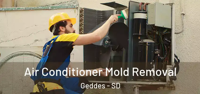  Air Conditioner Mold Removal Geddes - SD