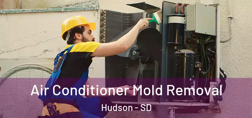  Air Conditioner Mold Removal Hudson - SD