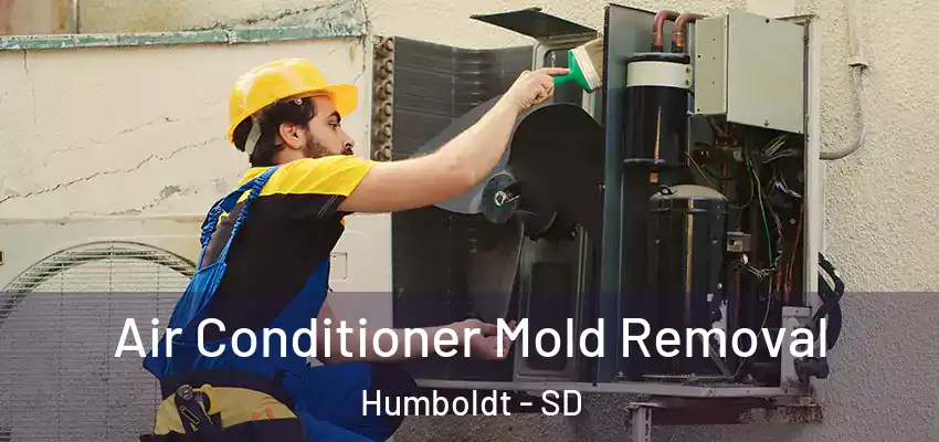  Air Conditioner Mold Removal Humboldt - SD