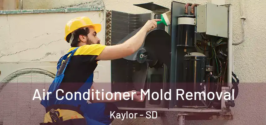  Air Conditioner Mold Removal Kaylor - SD
