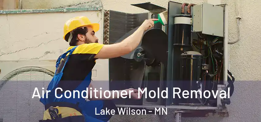 Air Conditioner Mold Removal Lake Wilson - MN