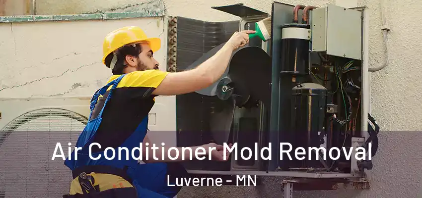  Air Conditioner Mold Removal Luverne - MN