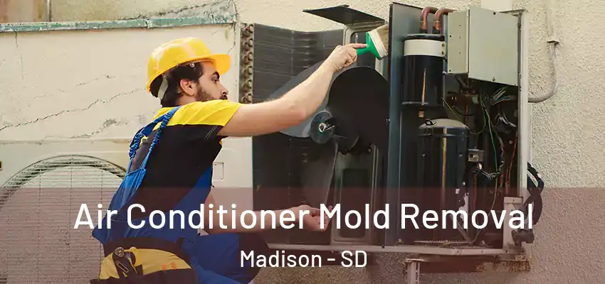  Air Conditioner Mold Removal Madison - SD