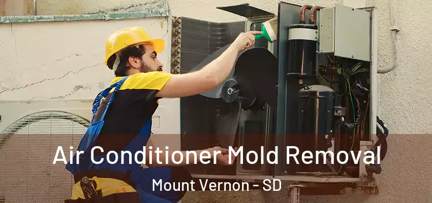  Air Conditioner Mold Removal Mount Vernon - SD