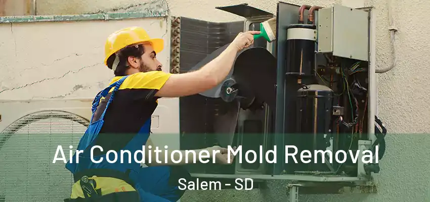  Air Conditioner Mold Removal Salem - SD