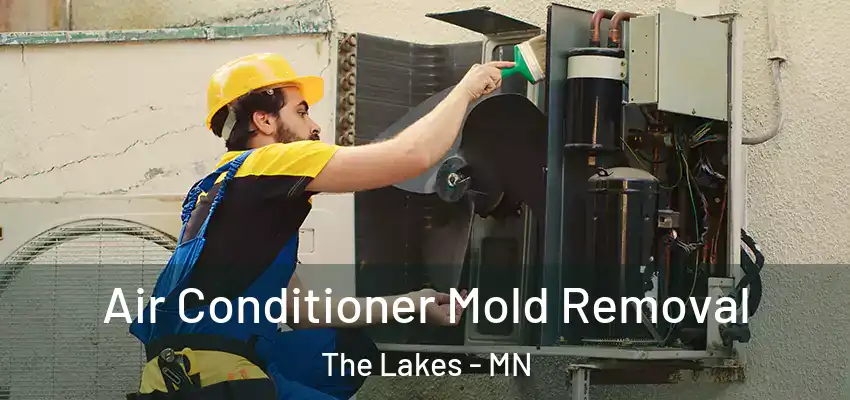  Air Conditioner Mold Removal The Lakes - MN