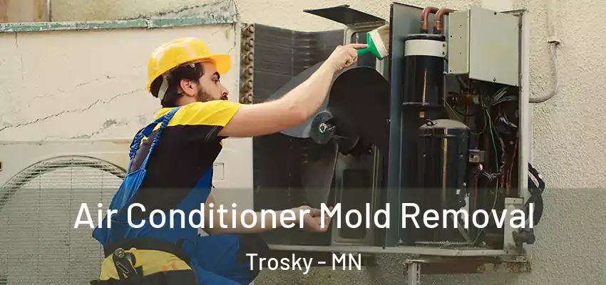 Air Conditioner Mold Removal Trosky - MN