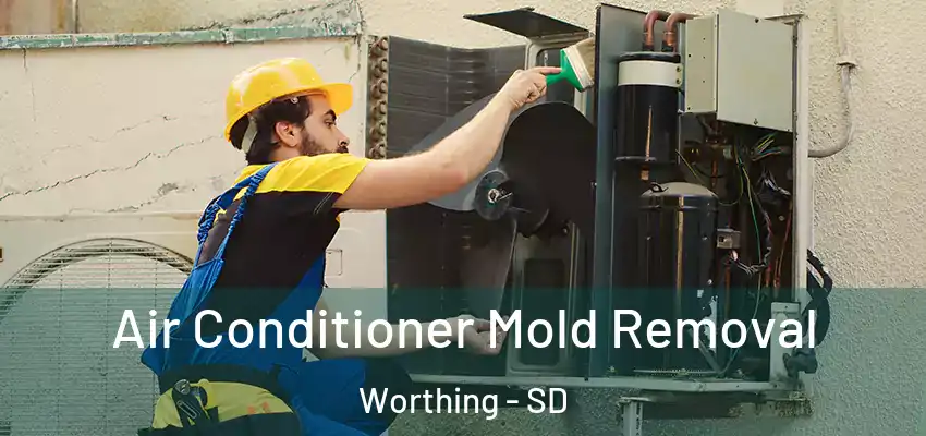  Air Conditioner Mold Removal Worthing - SD