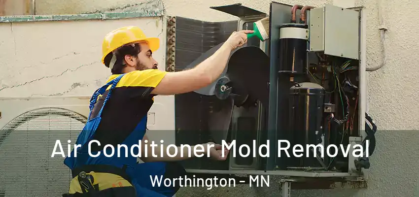 Air Conditioner Mold Removal Worthington - MN