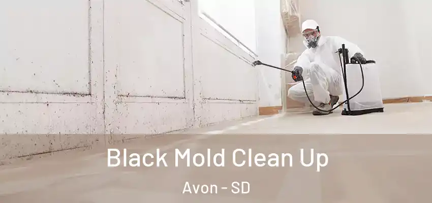  Black Mold Clean Up Avon - SD