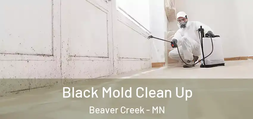  Black Mold Clean Up Beaver Creek - MN