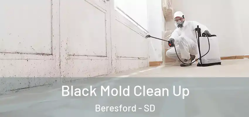  Black Mold Clean Up Beresford - SD
