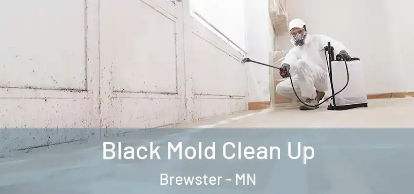  Black Mold Clean Up Brewster - MN