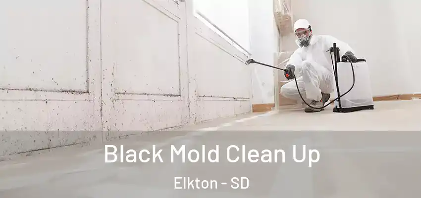  Black Mold Clean Up Elkton - SD