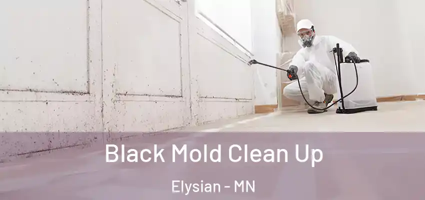  Black Mold Clean Up Elysian - MN