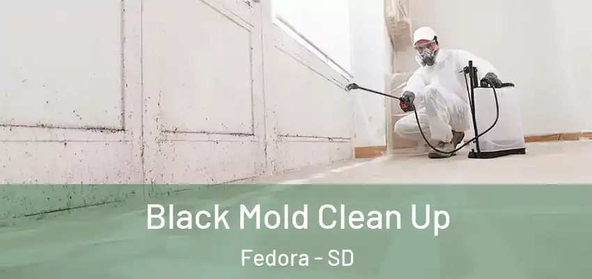  Black Mold Clean Up Fedora - SD