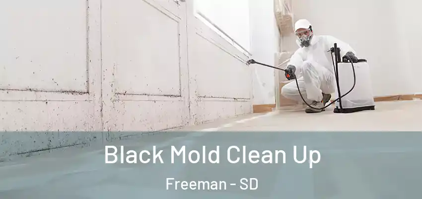  Black Mold Clean Up Freeman - SD