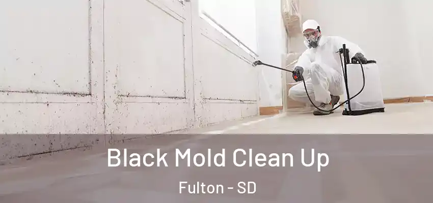  Black Mold Clean Up Fulton - SD