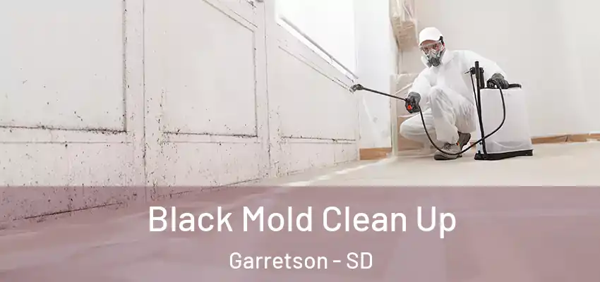  Black Mold Clean Up Garretson - SD