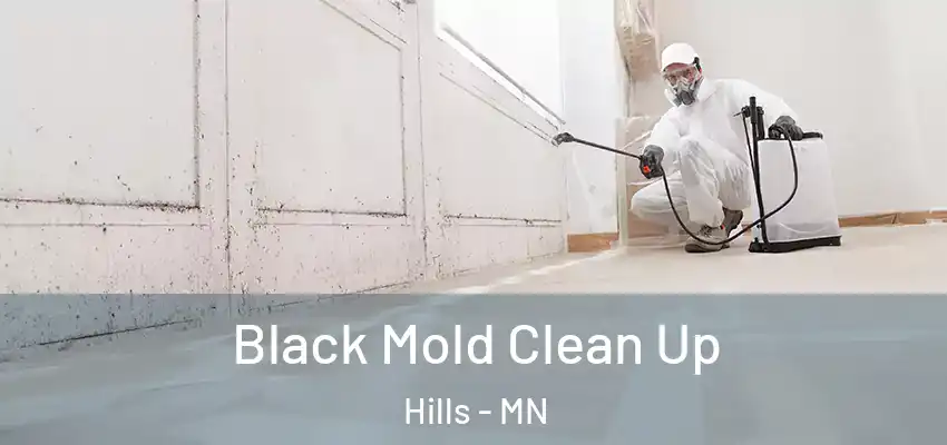  Black Mold Clean Up Hills - MN