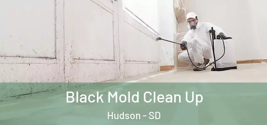  Black Mold Clean Up Hudson - SD