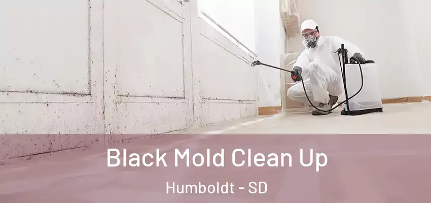  Black Mold Clean Up Humboldt - SD