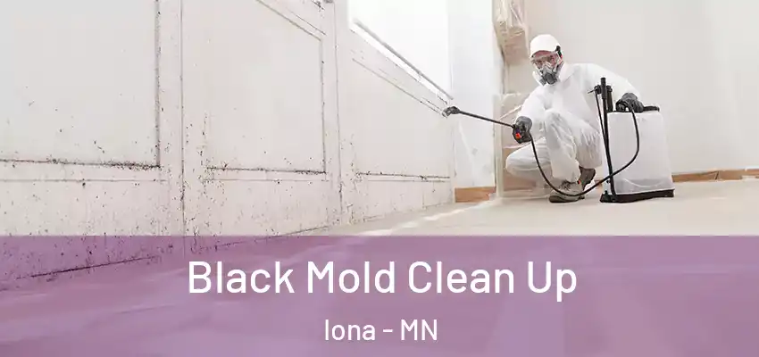  Black Mold Clean Up Iona - MN