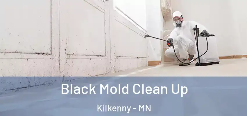 Black Mold Clean Up Kilkenny - MN