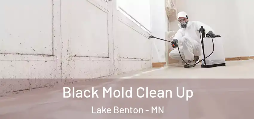  Black Mold Clean Up Lake Benton - MN