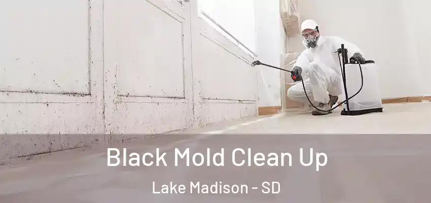  Black Mold Clean Up Lake Madison - SD