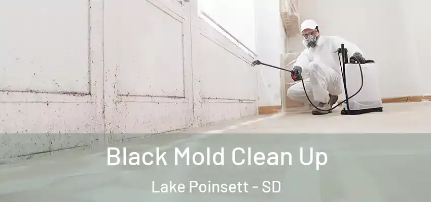 Black Mold Clean Up Lake Poinsett - SD