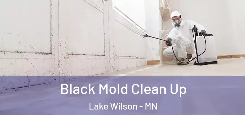 Black Mold Clean Up Lake Wilson - MN