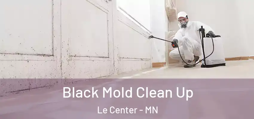  Black Mold Clean Up Le Center - MN