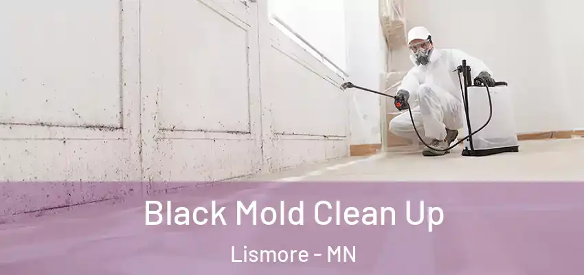  Black Mold Clean Up Lismore - MN