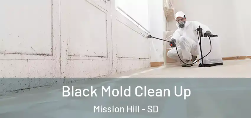  Black Mold Clean Up Mission Hill - SD