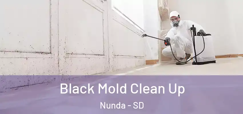  Black Mold Clean Up Nunda - SD