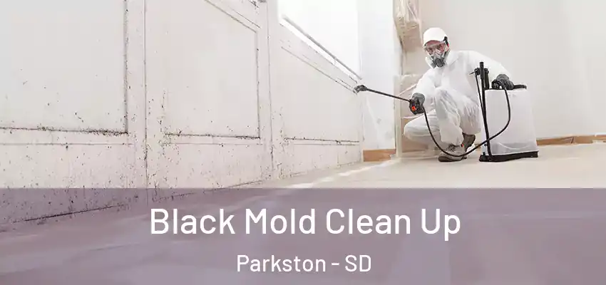  Black Mold Clean Up Parkston - SD