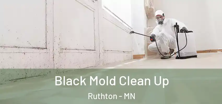  Black Mold Clean Up Ruthton - MN